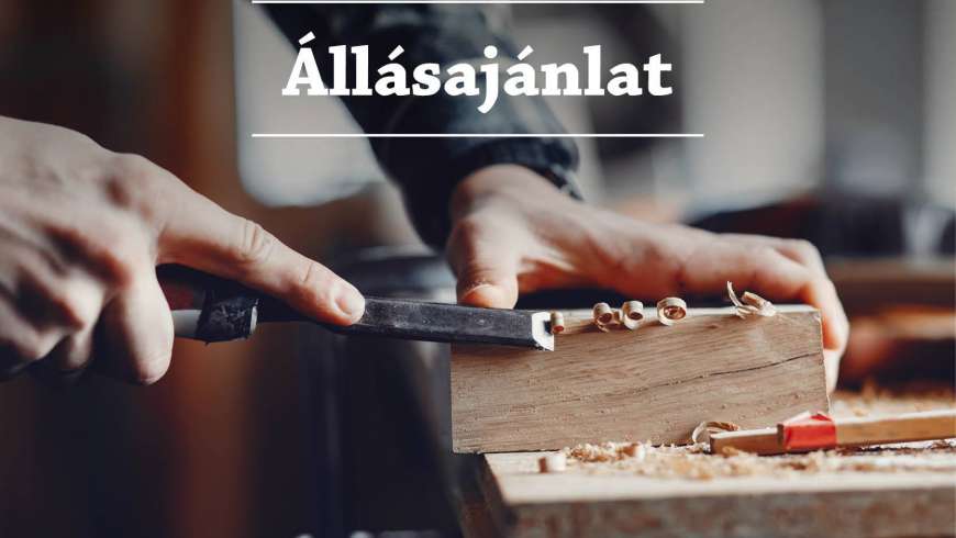 Állásajánlat