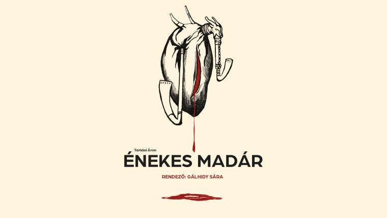 Énekes madár